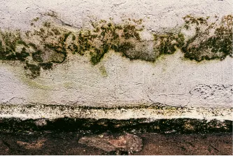 photo-wall-texture-pattern